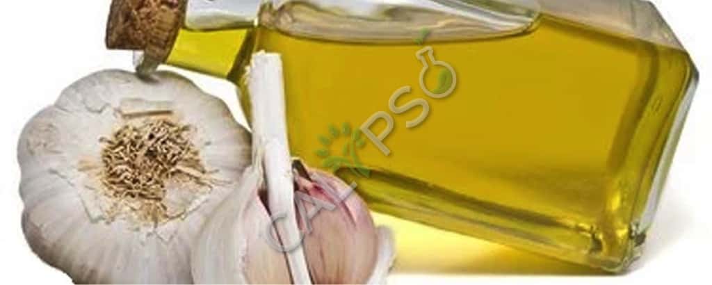 Comprar ajo co2 extrae aceite esencial